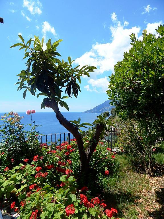 Amalfi View Cottage Kültér fotó
