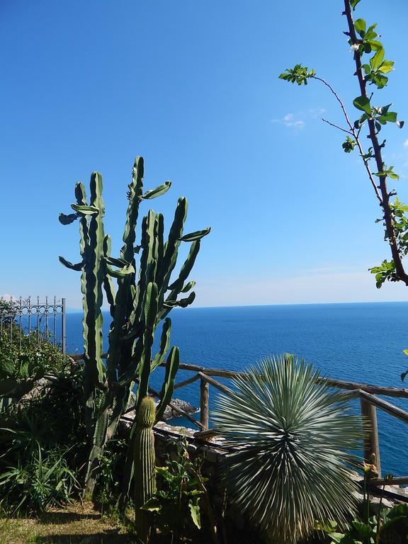 Amalfi View Cottage Kültér fotó